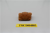 藏品(肉球皺蟹)的圖片